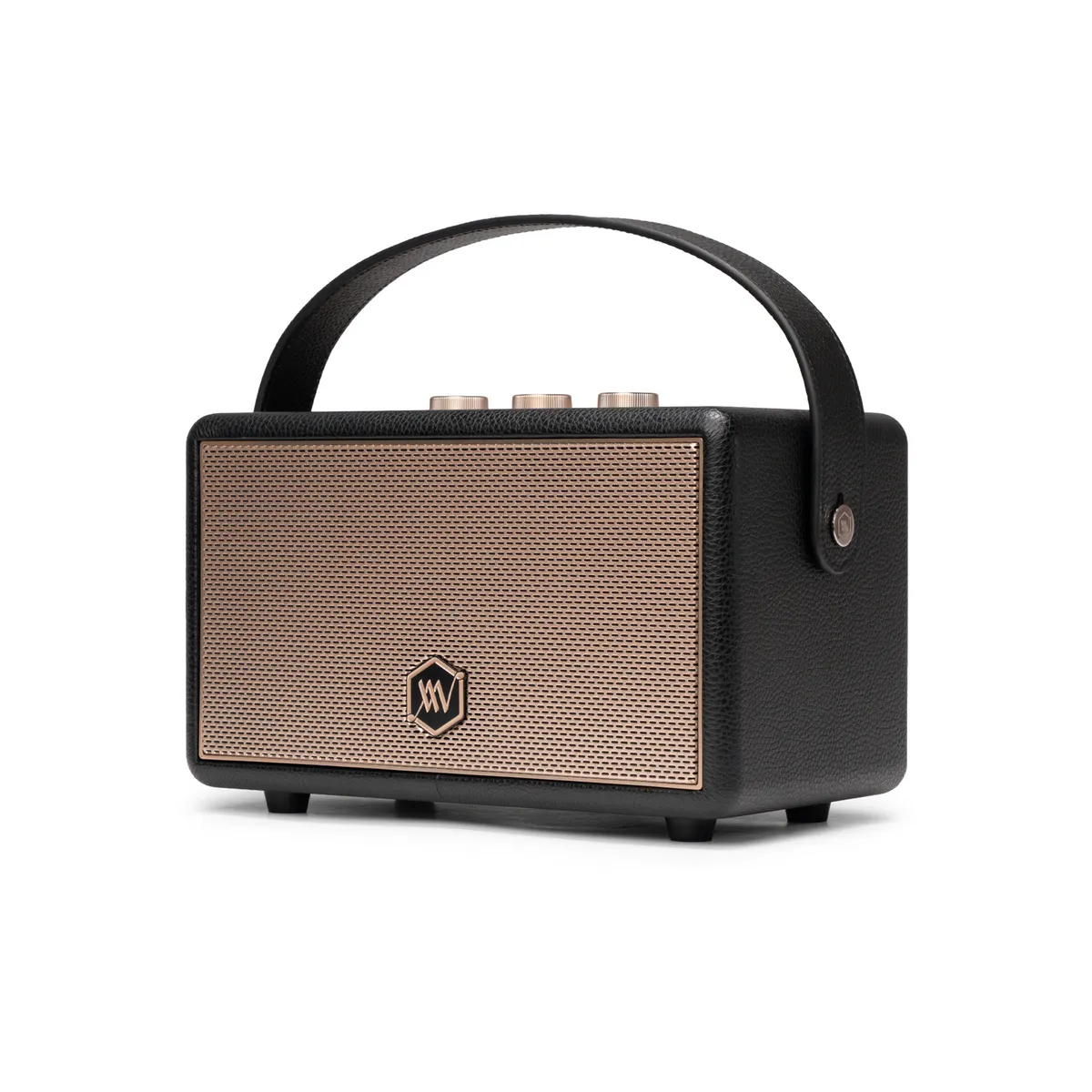 Loa Alpha Works W89 (120W, Pin 28h, Bluetooth 5.3) - Hình 3