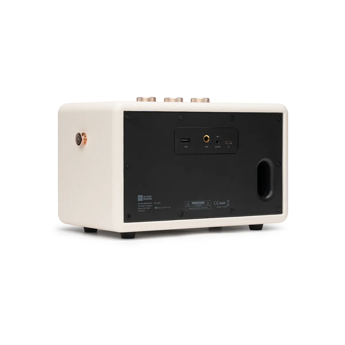 Loa Alpha Works W89 (120W, Pin 28h, Bluetooth 5.3) - Hình 4