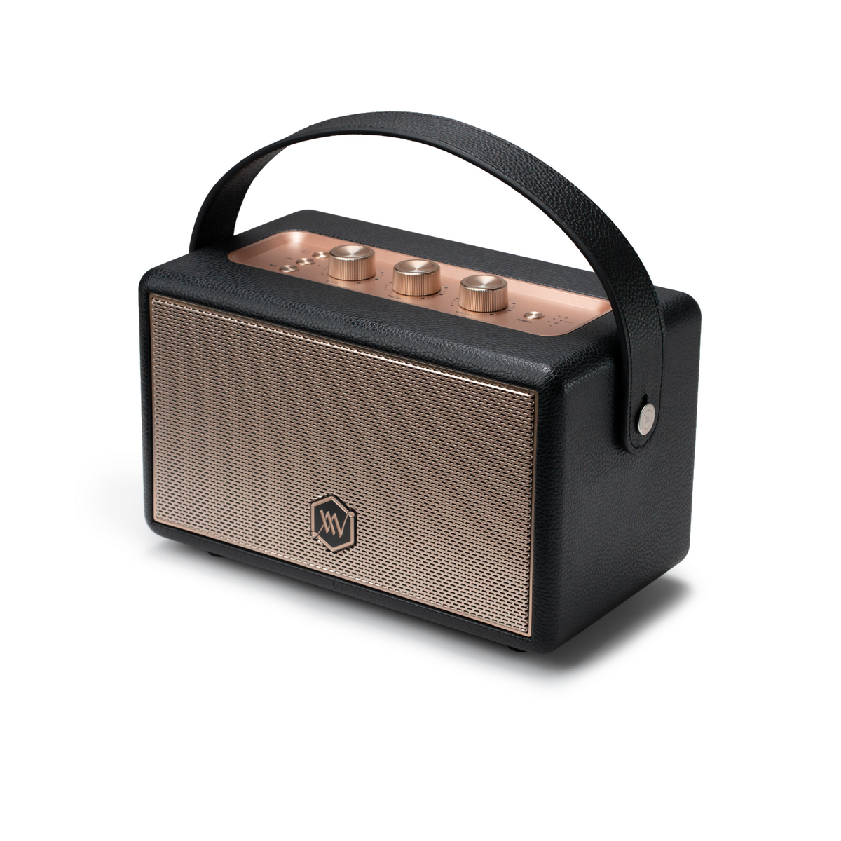 Loa Alpha Works W89 (New 2025, 120W, Pin 28h, Bluetooth 5.3) - Hình 3