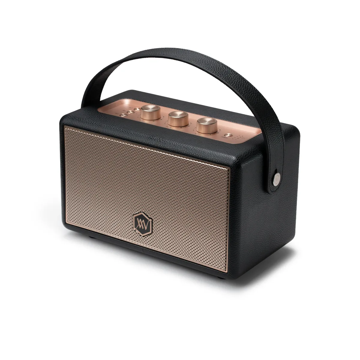 Loa Alpha Works W89 (120W, Pin 28h, Bluetooth 5.3) - Hình 3