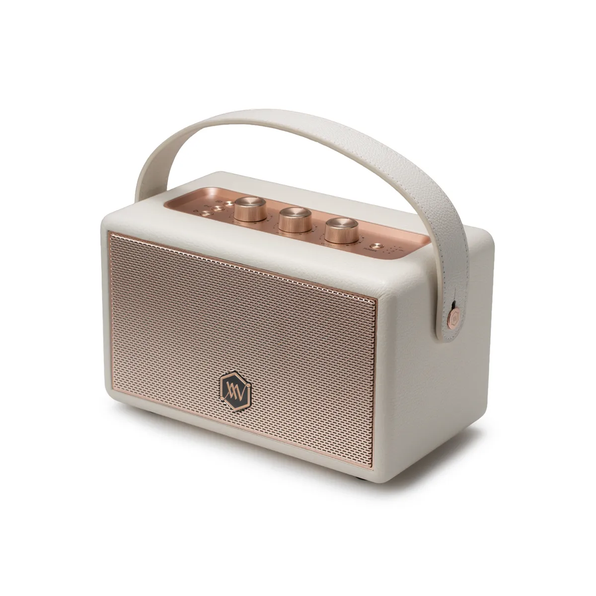 Loa Alpha Works W89 (120W, Pin 28h, Bluetooth 5.3) - Hình 4