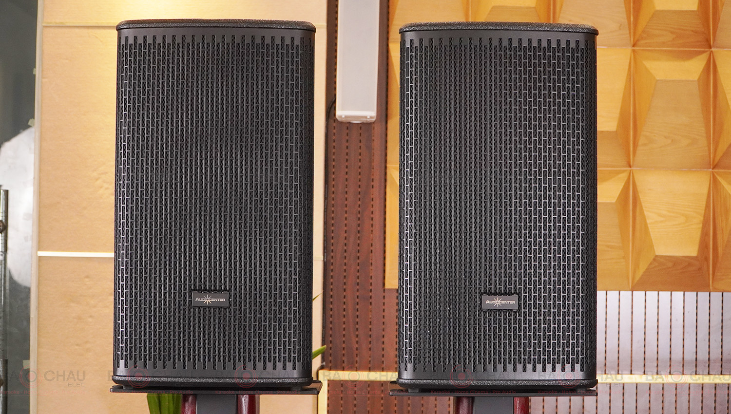 Loa Audiocenter GT510P