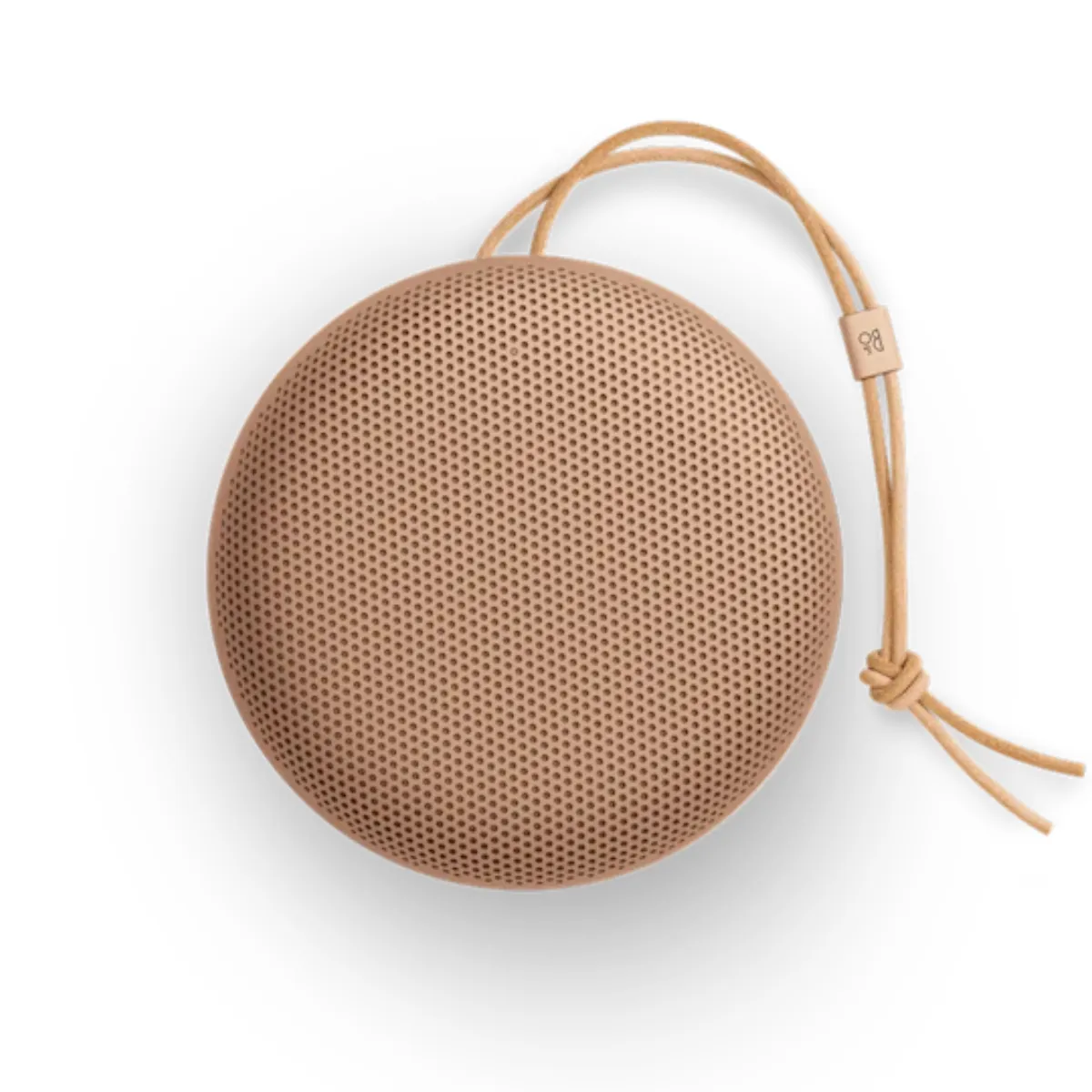 Loa B&O Beosound A1 Gen 3