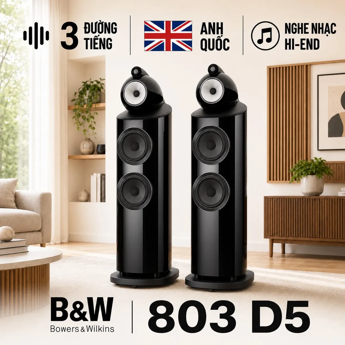 Loa B&W 803 D5