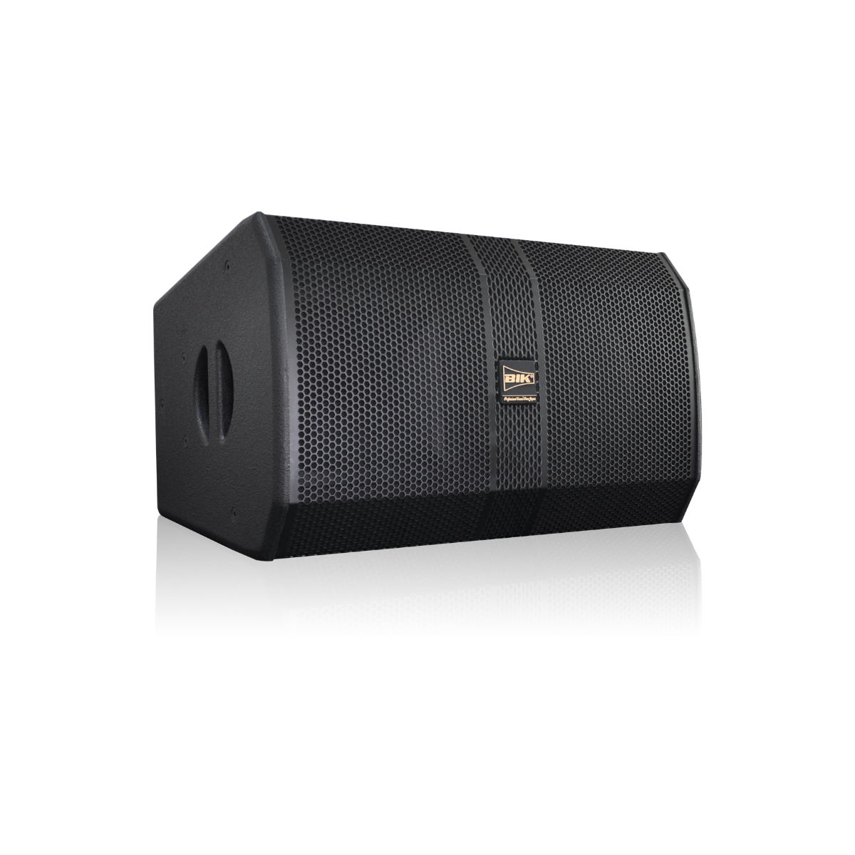 Loa karaoke Nhật BIK BBK-S312