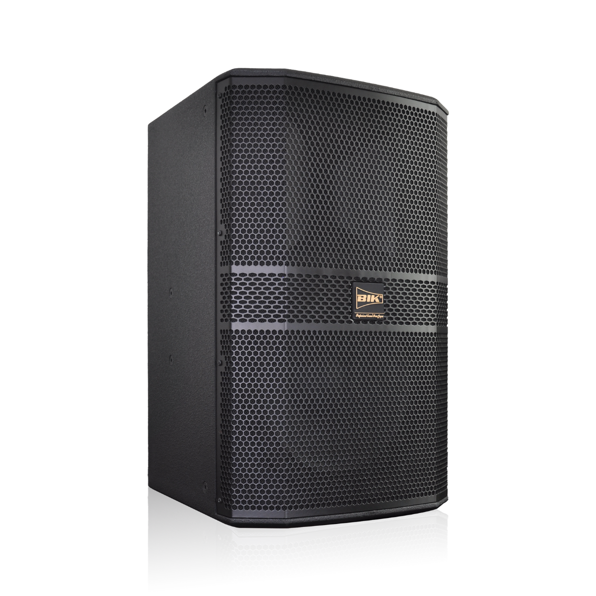 Loa karaoke Nhật BIK BBK-S312