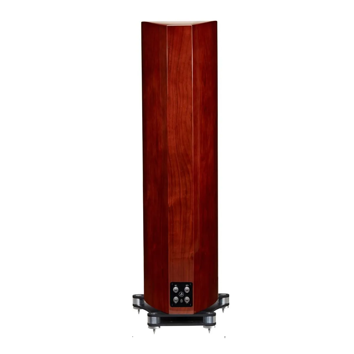 Loa Fyne Audio F702 mặt sau