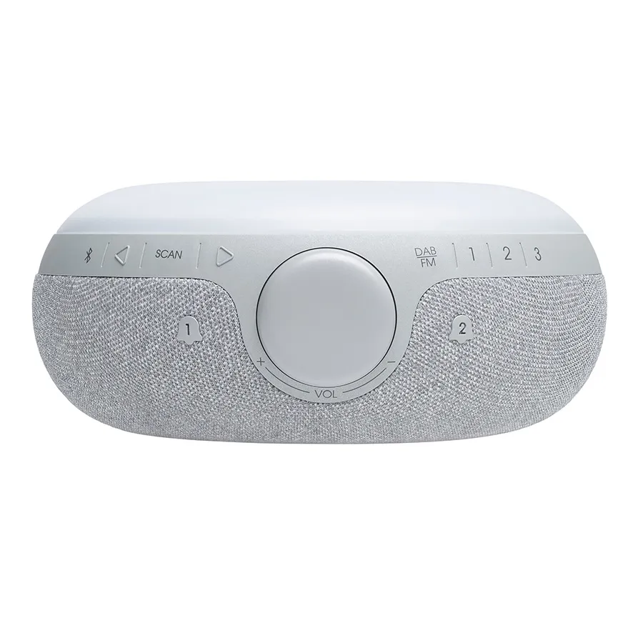 Loa bluetooth JBL Horizon 2 Grey-3