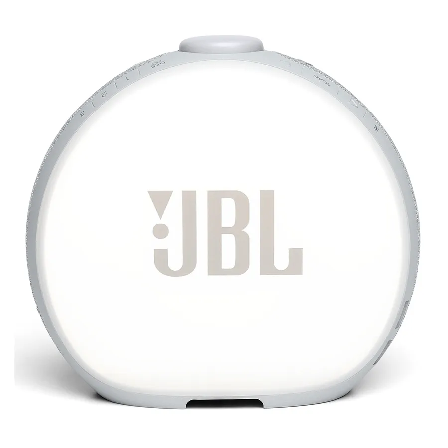 Loa bluetooth JBL Horizon 2 Grey-4