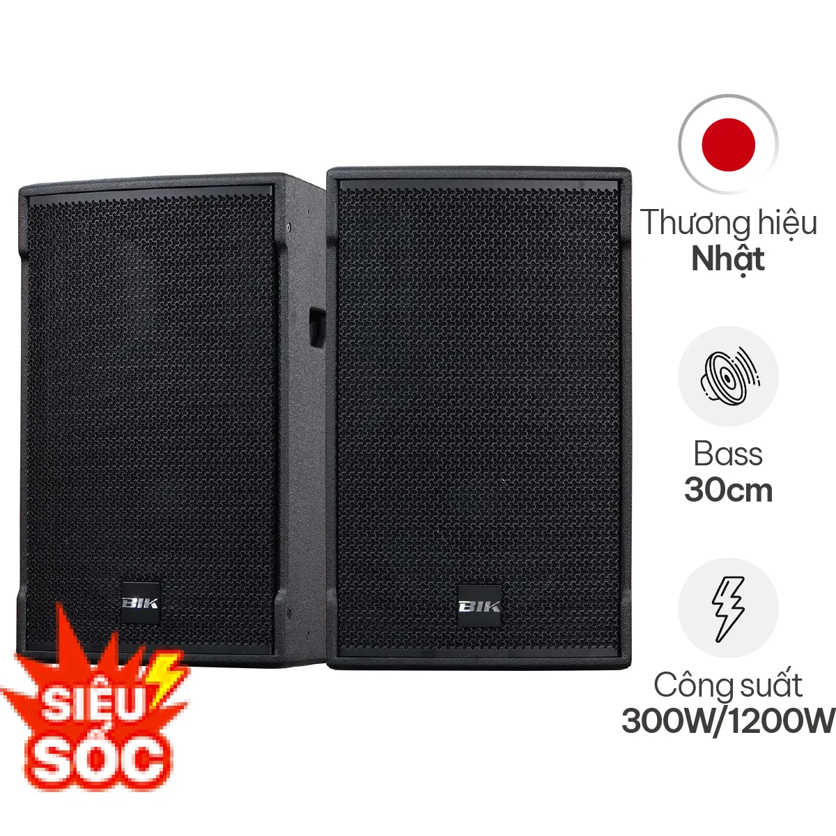 Loa karaoke BIK CS-525 (bass 30cm)