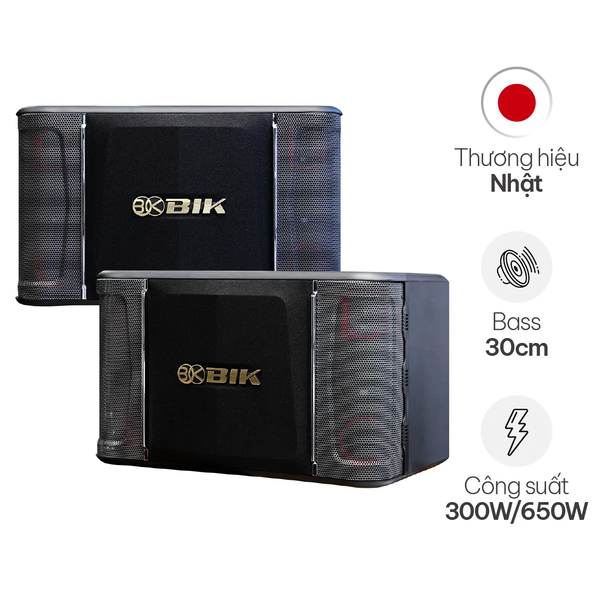 Loa Karaoke Nhật BIK BJ-S968 (Bass 30cm)