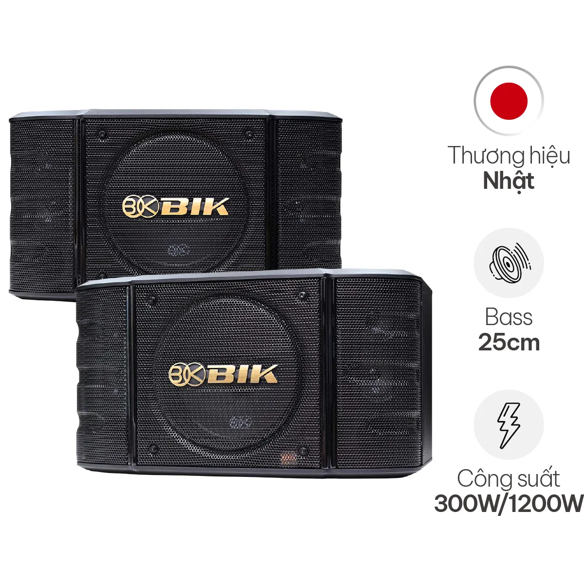 Loa Karaoke Nhật BIK BS 998X (Bass 25cm)