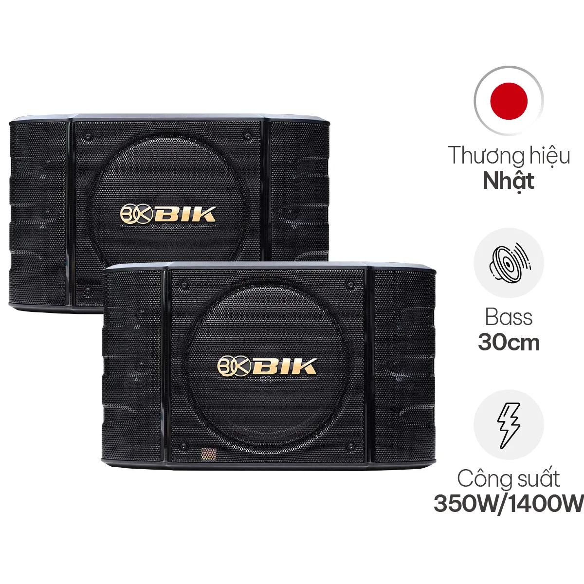 Loa Karaoke Nhật BIK BS 999X (Bass 30cm)