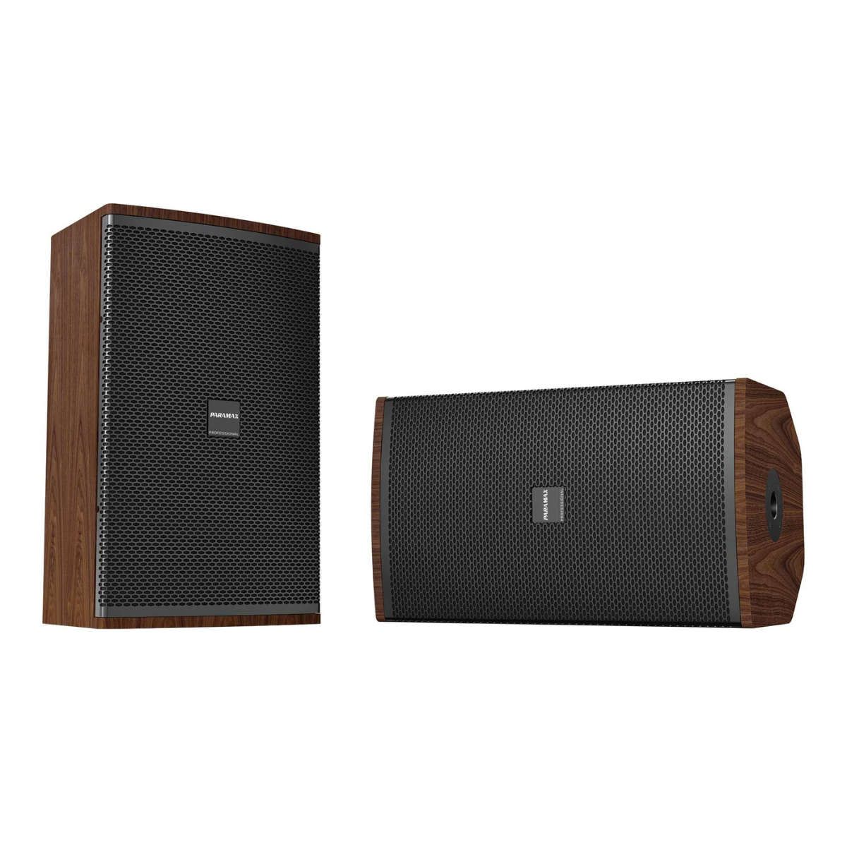 Loa Paramax Classe 30 (Bass 30cm, 700W) - Hình 2