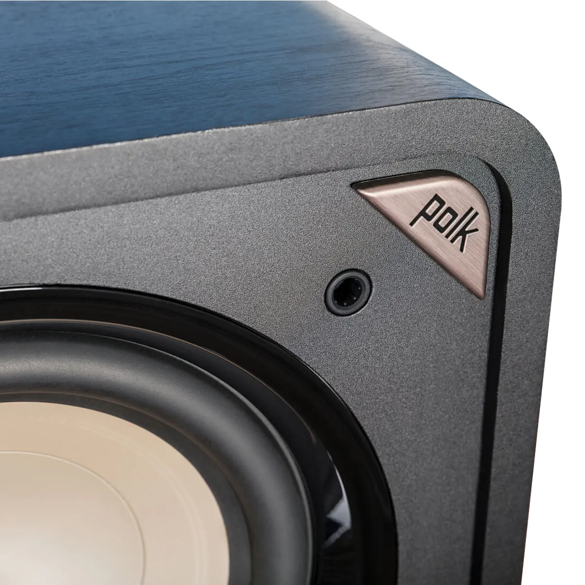 Loa Sub Polk Audio HTS10-1
