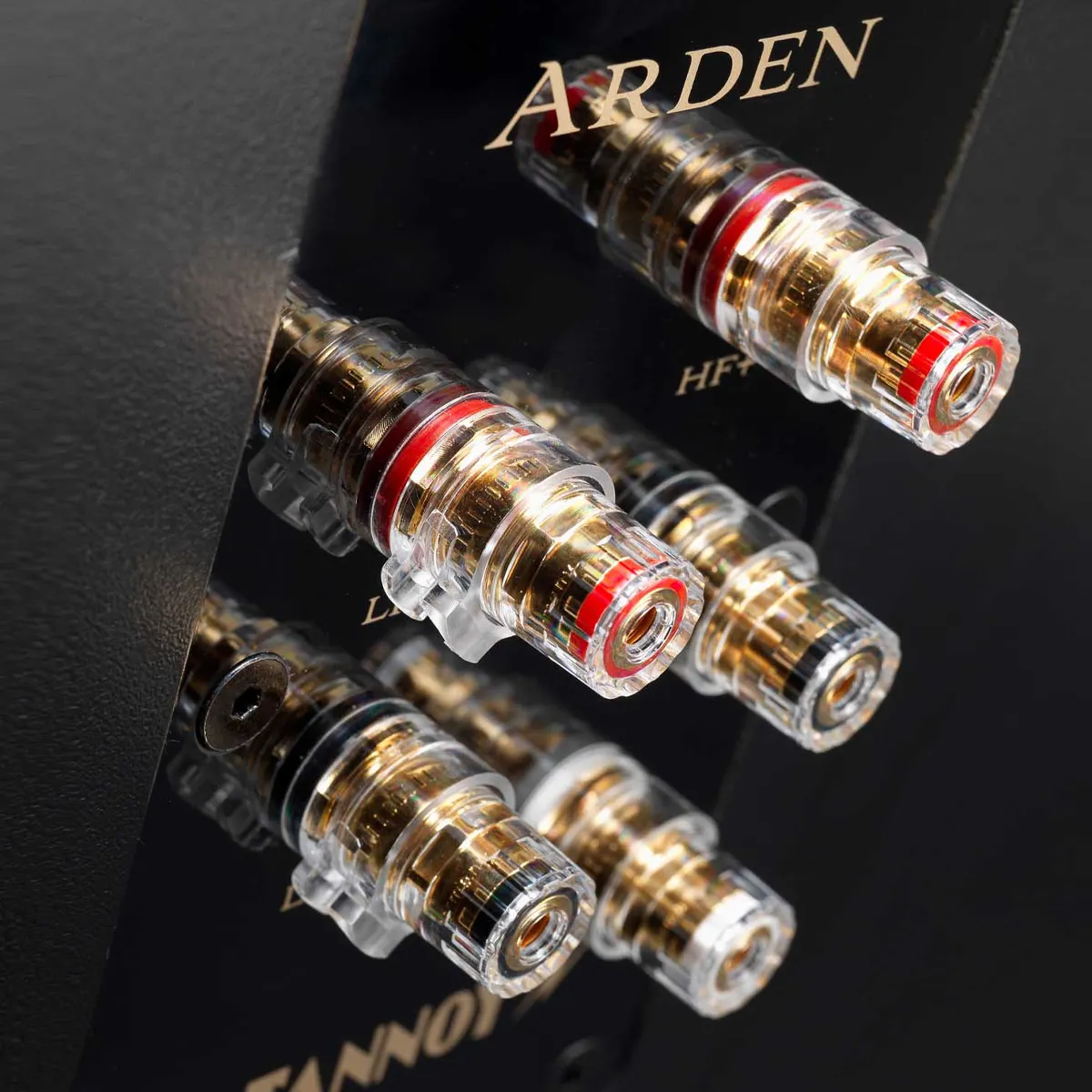 Loa Tannoy Arden-1