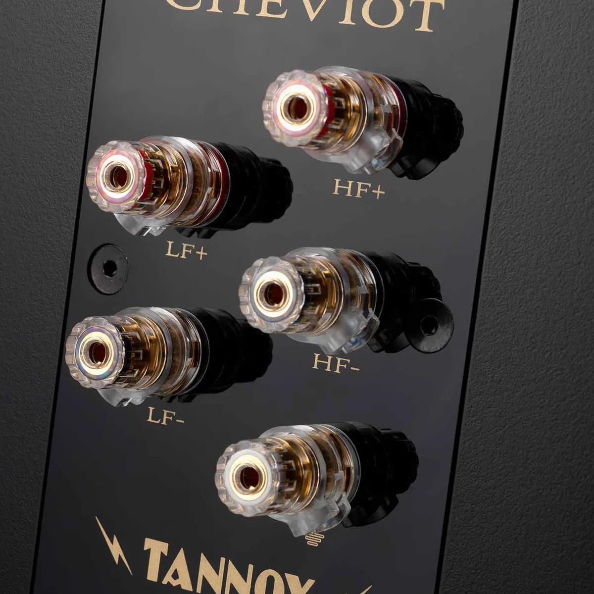 Loa Tannoy Cheviot-4