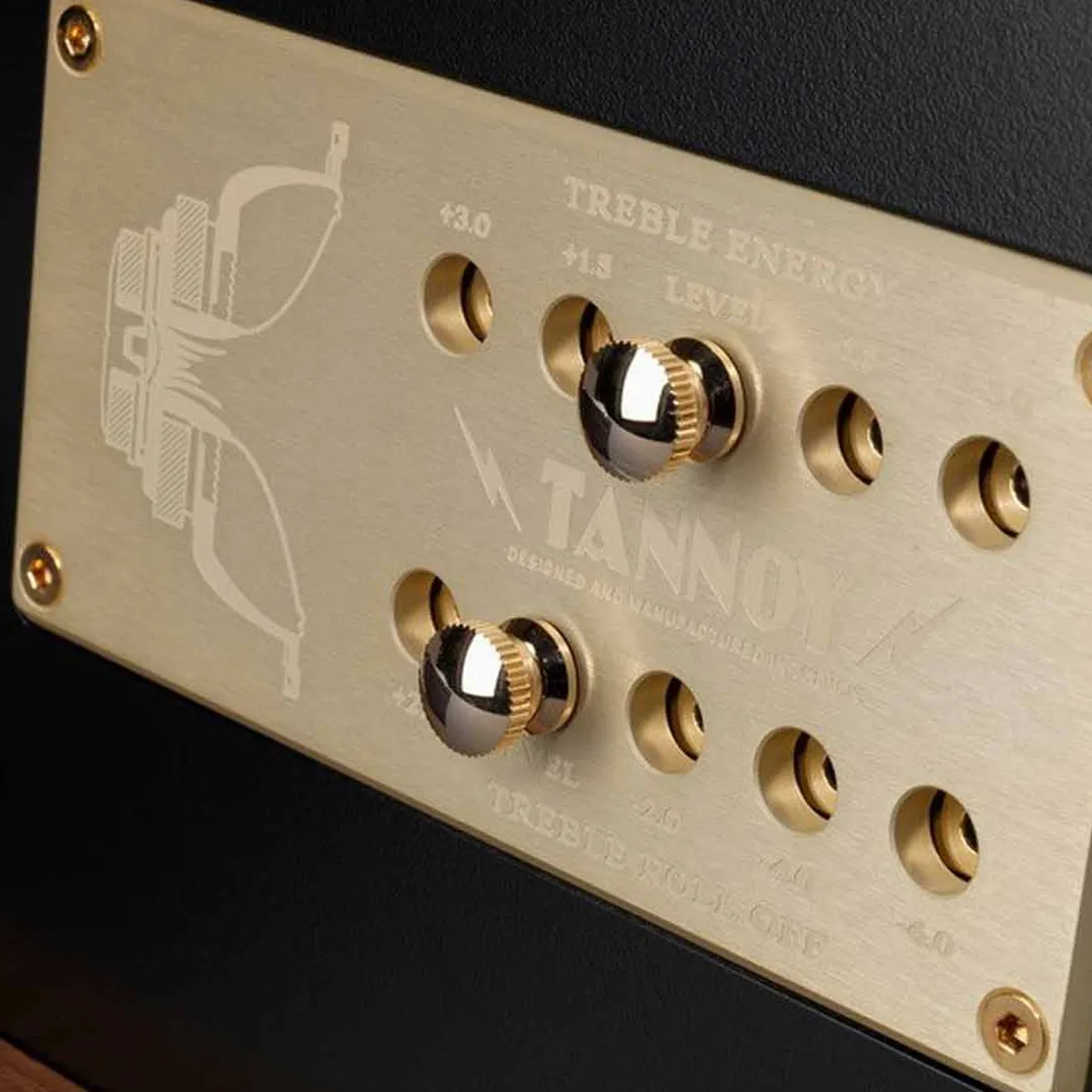 Loa Tannoy Cheviot-3