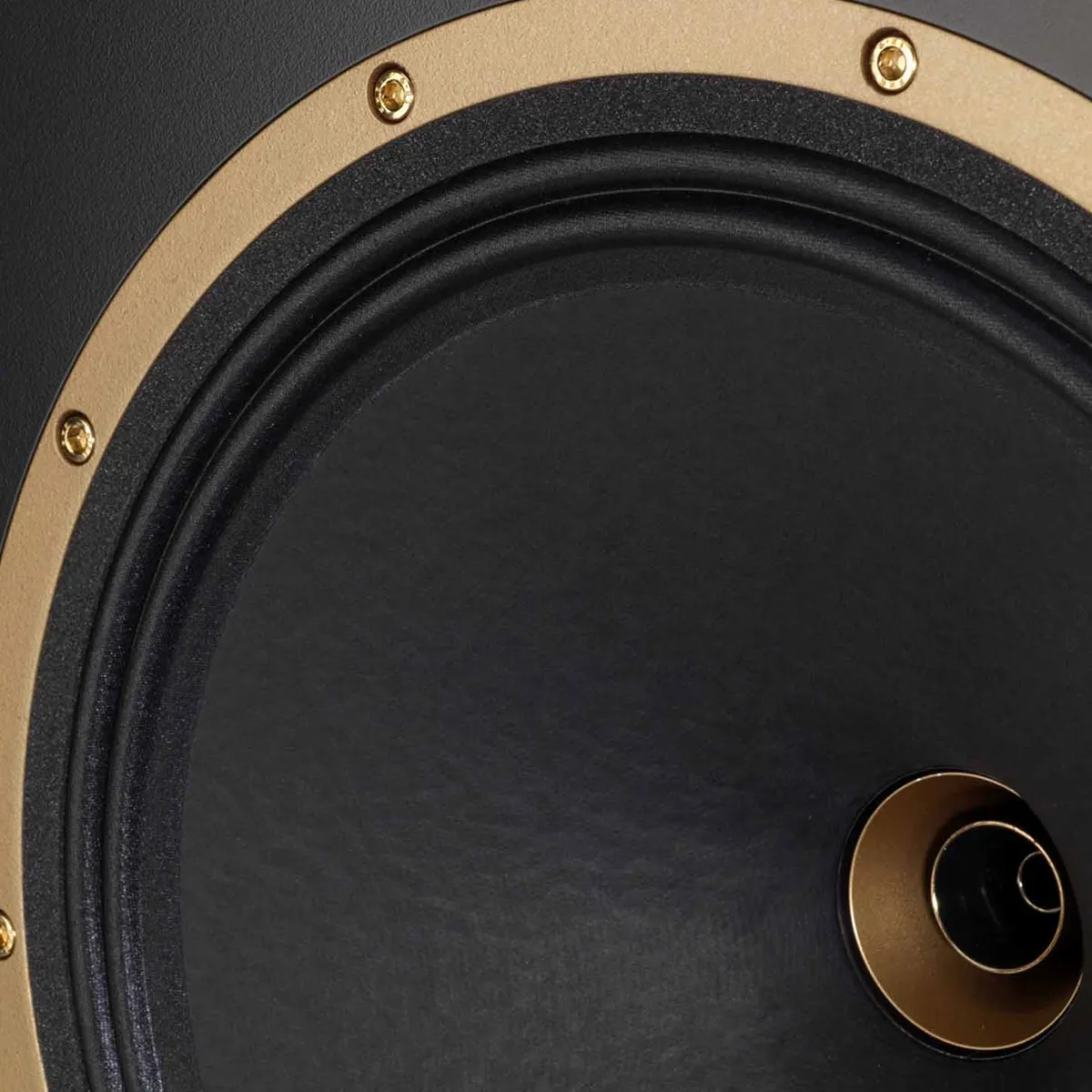 Loa Tannoy Cheviot-2