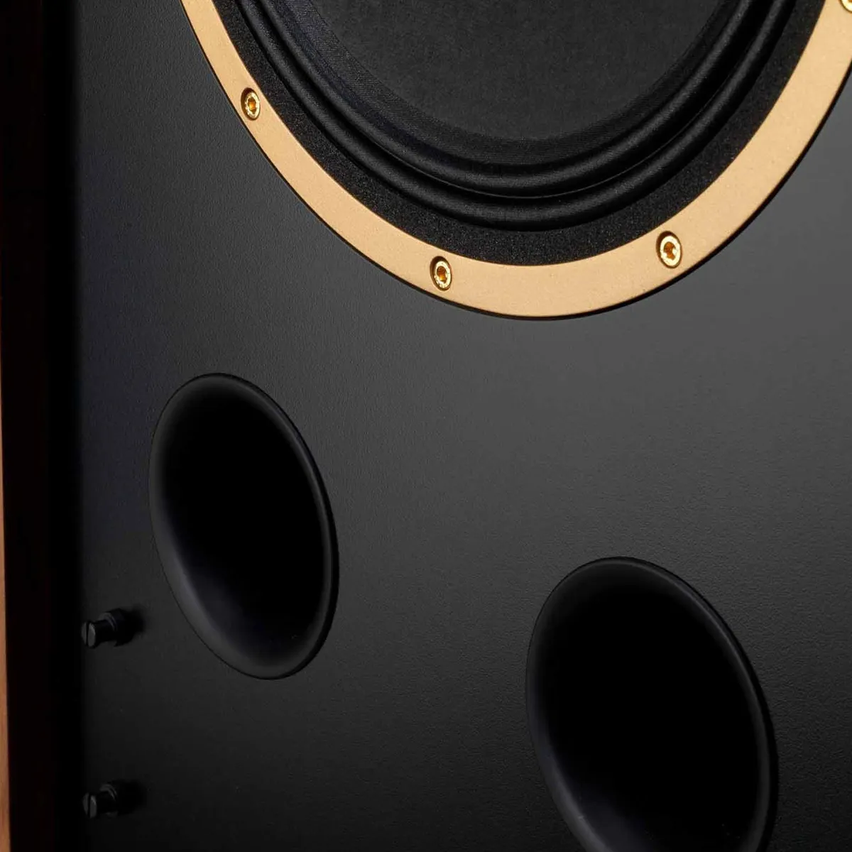 Loa Tannoy Cheviot-1