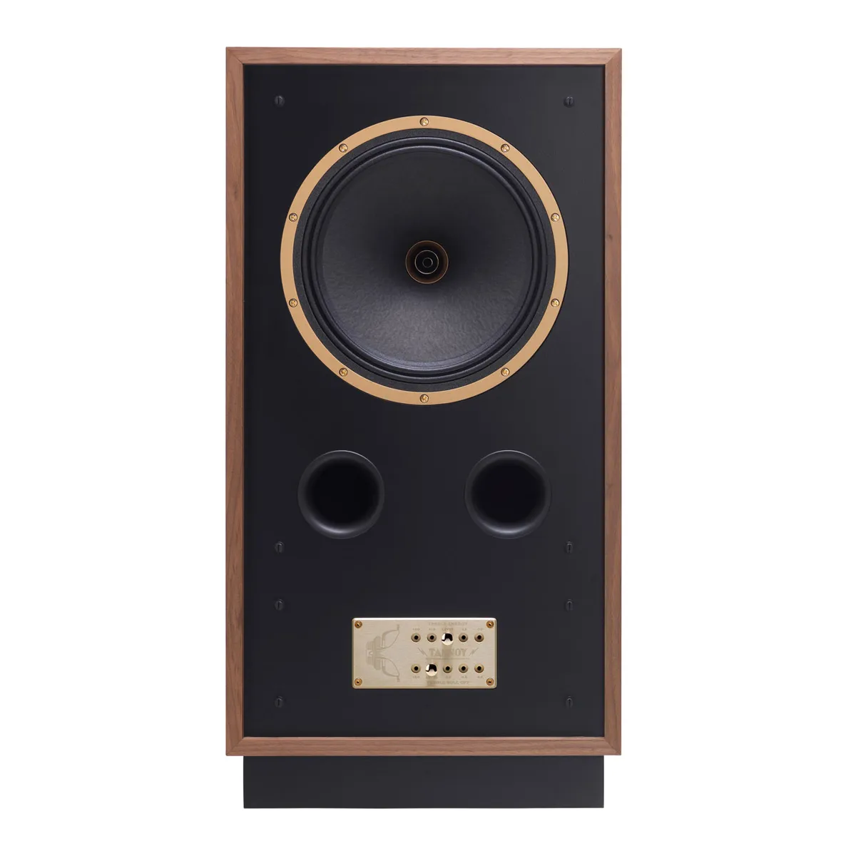 Loa Tannoy Cheviot mặt trước