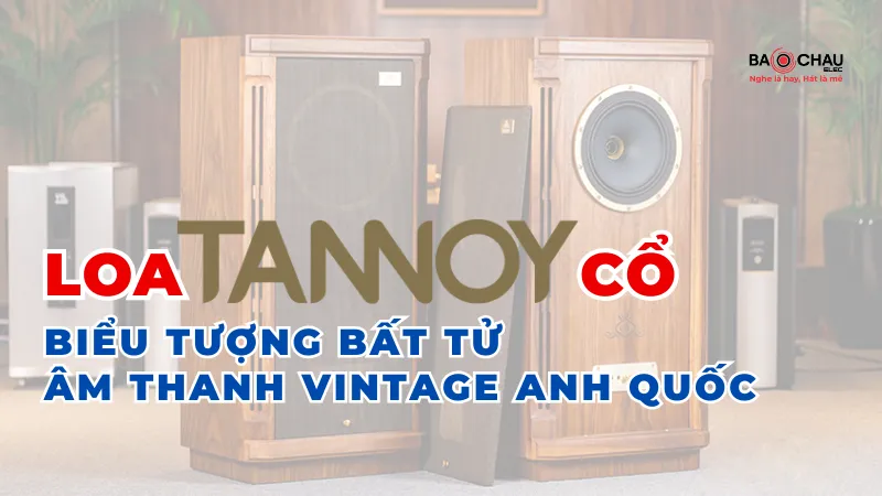 Loa Tannoy cổ Biểu tượng bất tử của âm thanh vintage Anh Quốc