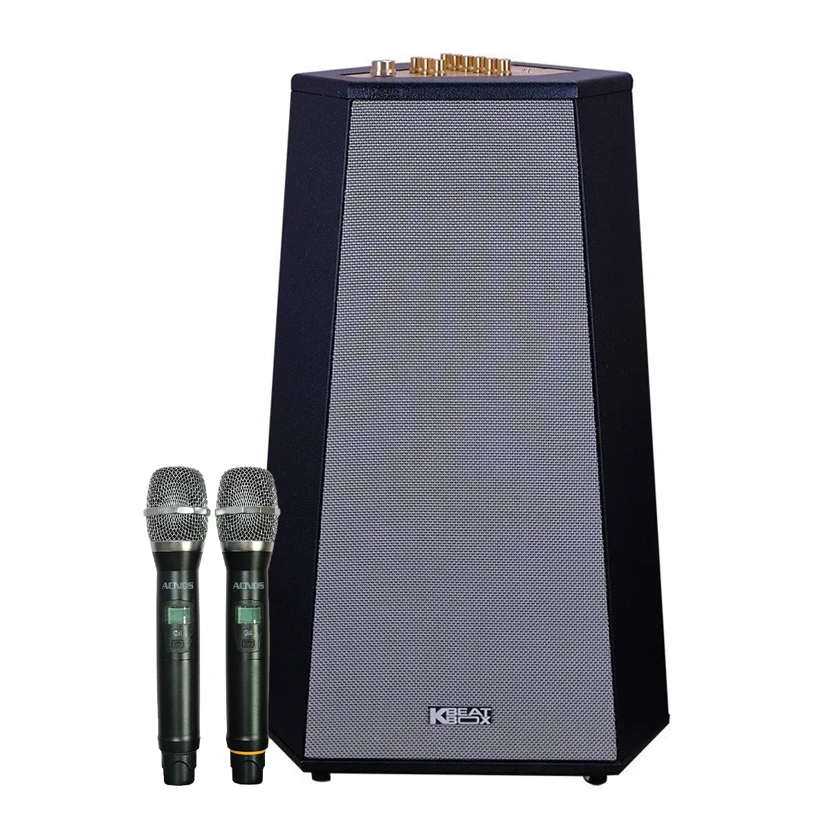 Loa Tháp Karaoke Acnos CS500