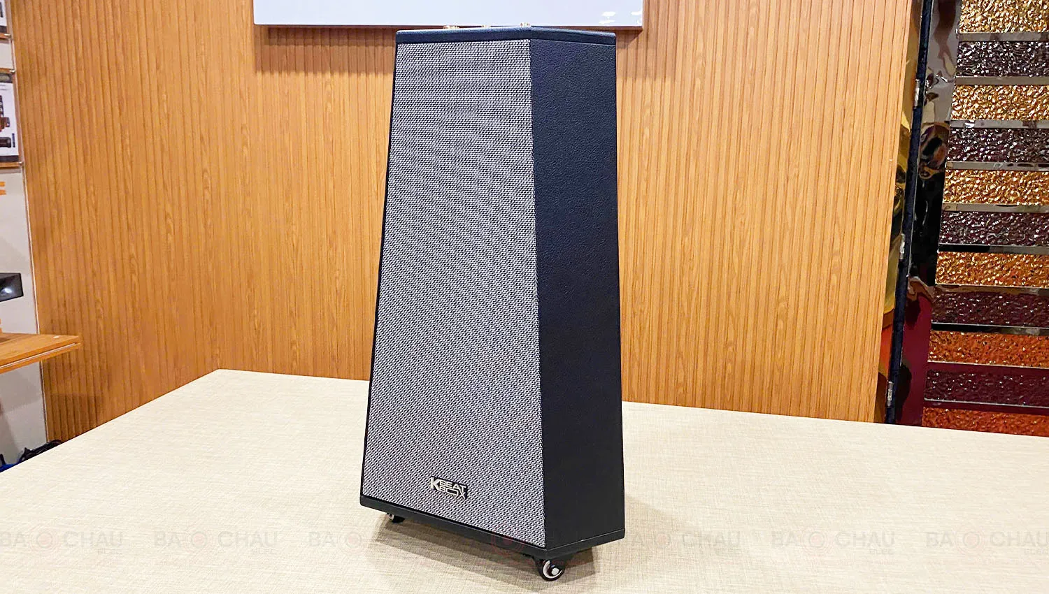 Loa Tháp Karaoke Acnos CS500