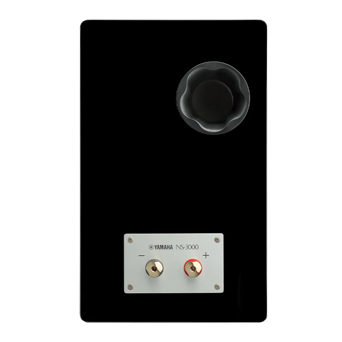 Loa Yamaha NS-3000 Black mặt sau