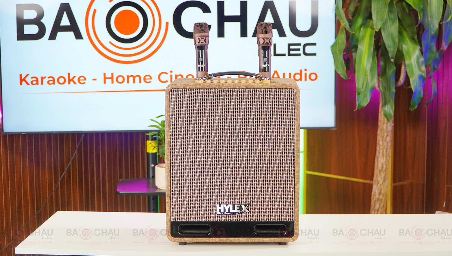 Loa di động Hylex PA55MK