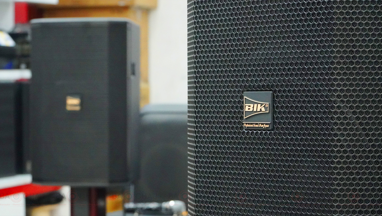 Loa karaoke BIK BSP 412II
