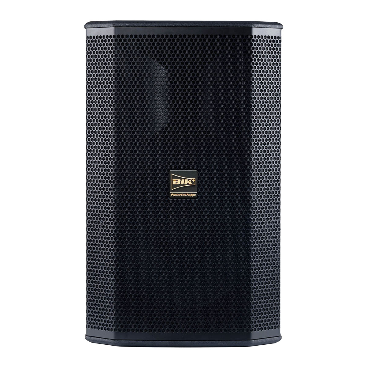 Loa karaoke Nhật BIK BSP 412II Cao Cấp