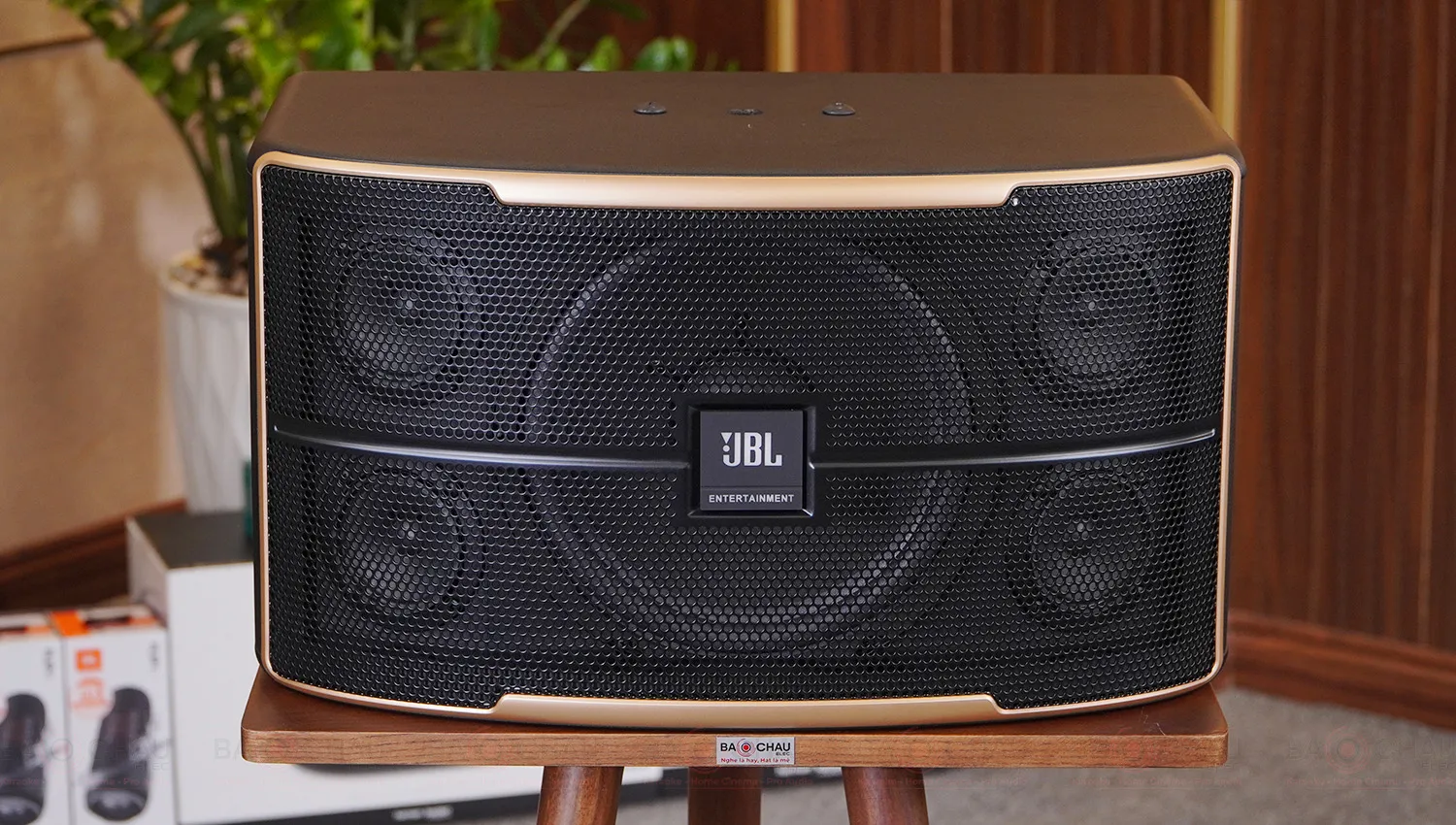 Loa karaoke JBL Pasion 10