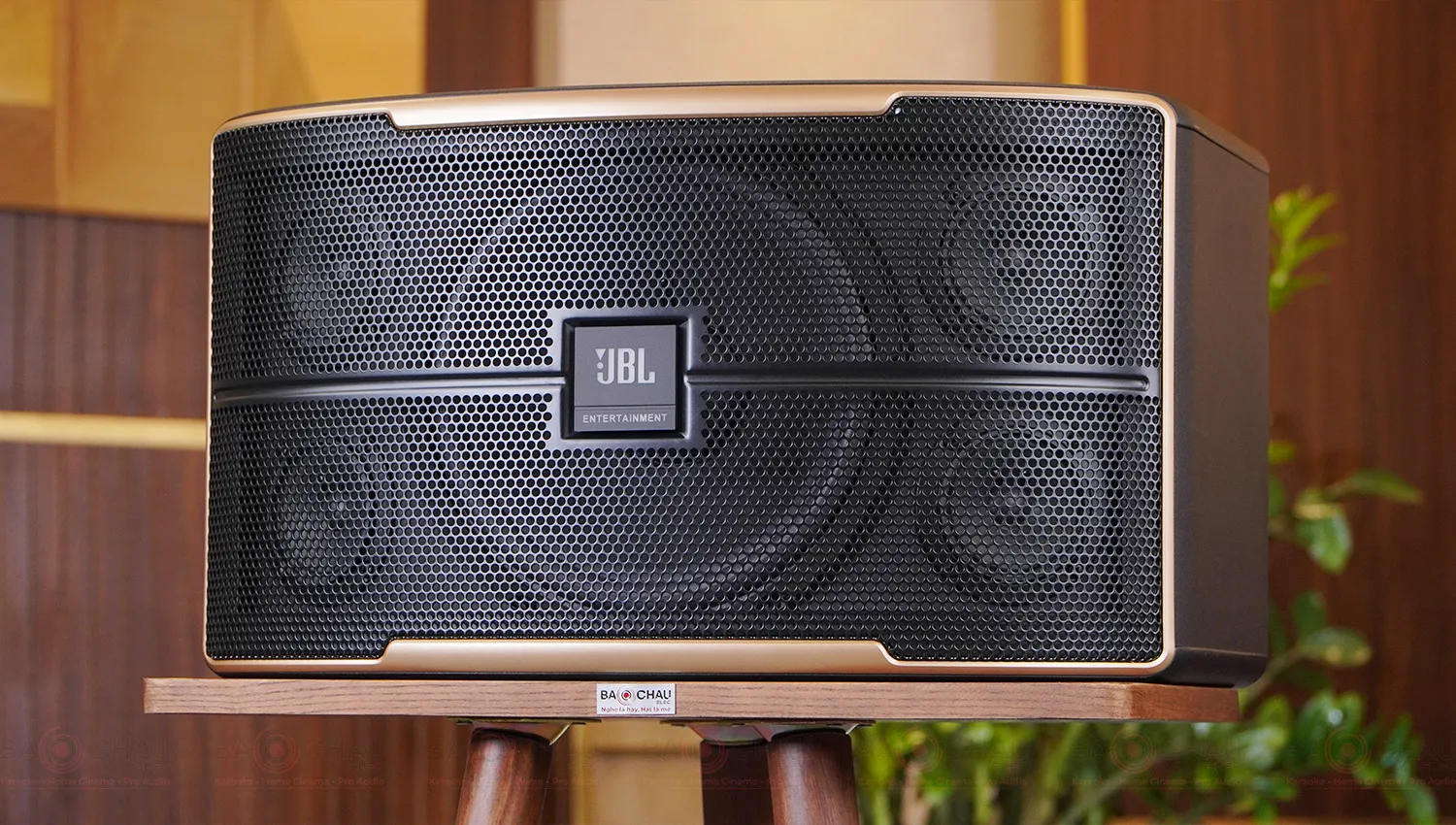 Loa karaoke JBL Pasion 10