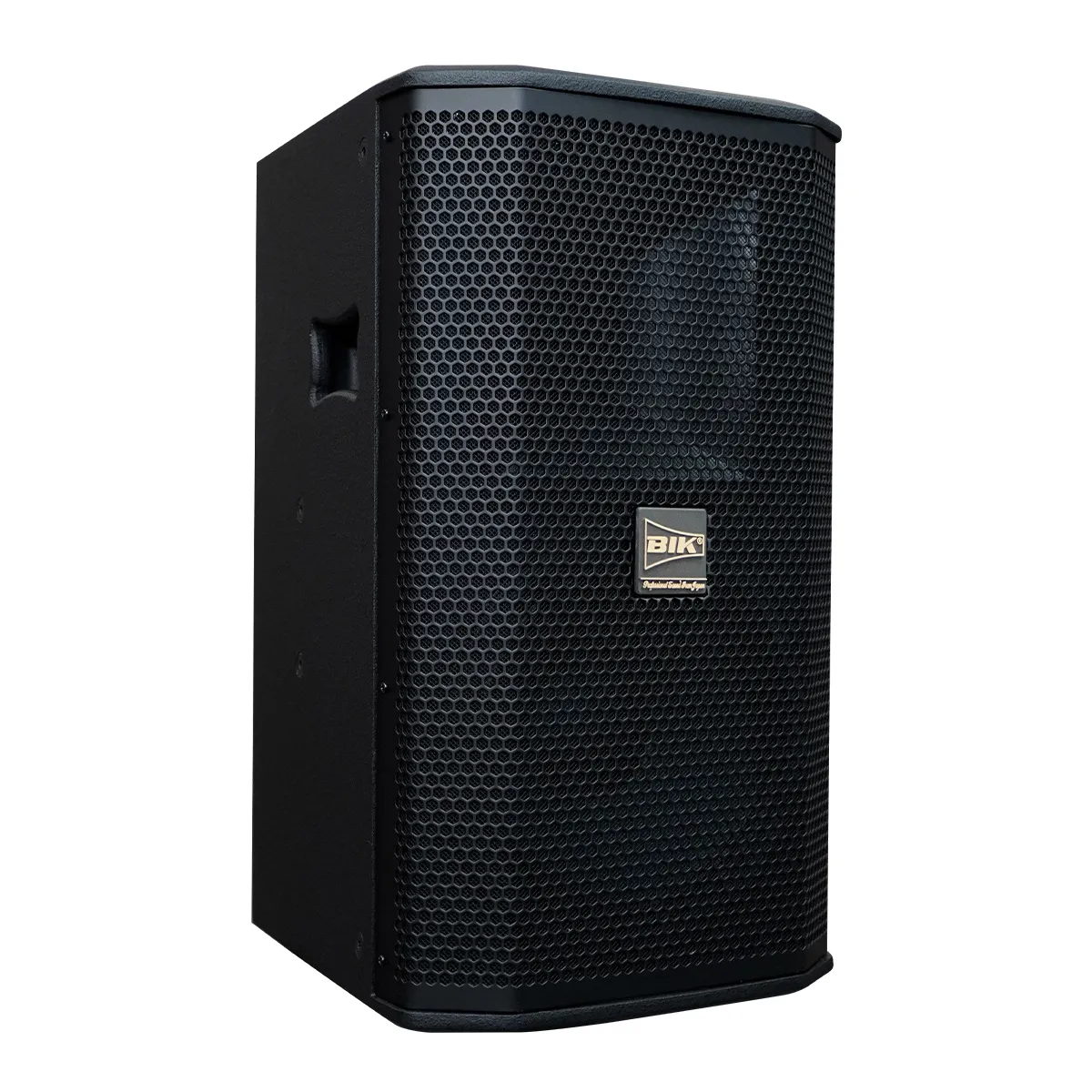 Loa karaoke Nhật BIK BSP 410II