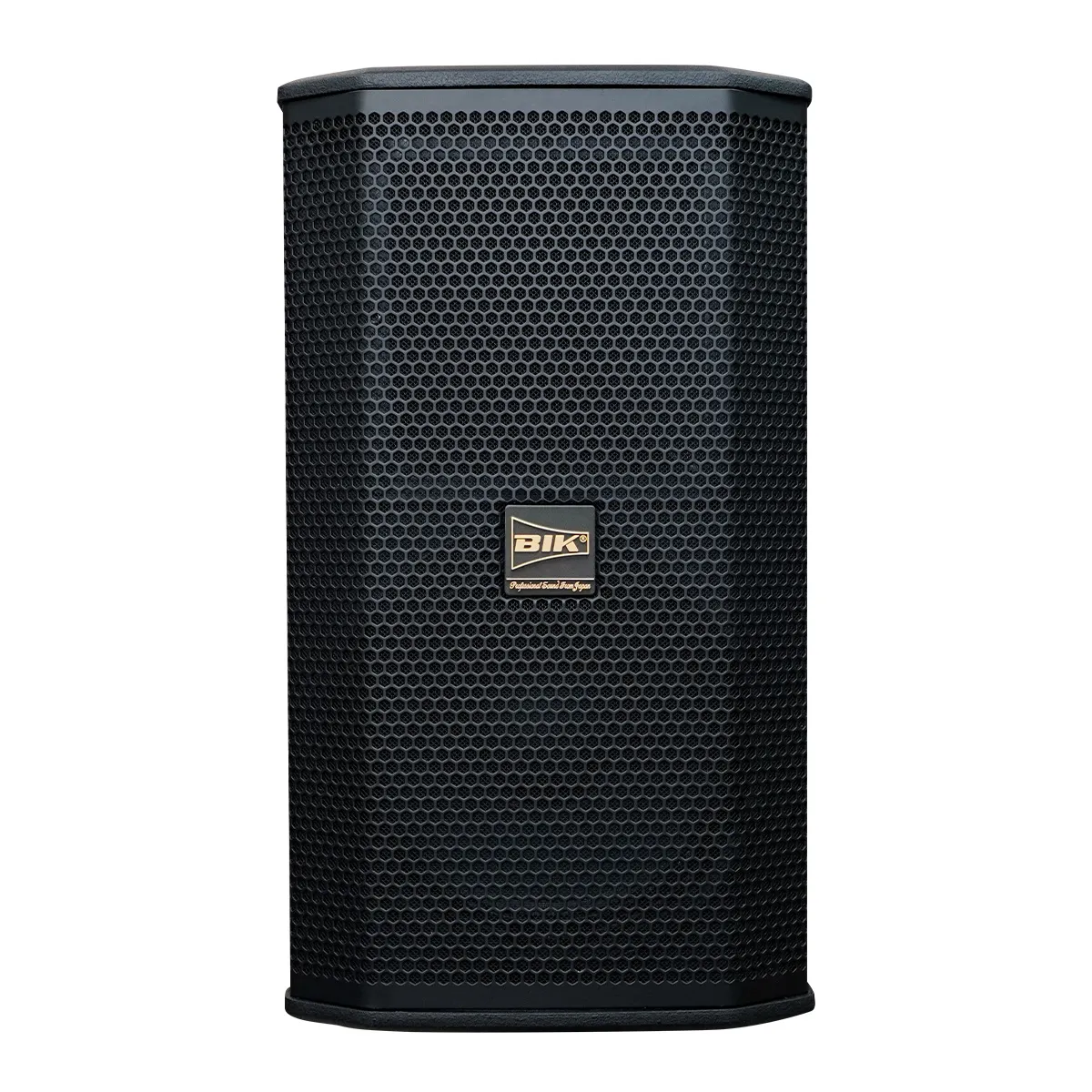 Loa karaoke Nhật BIK BSP 410II
