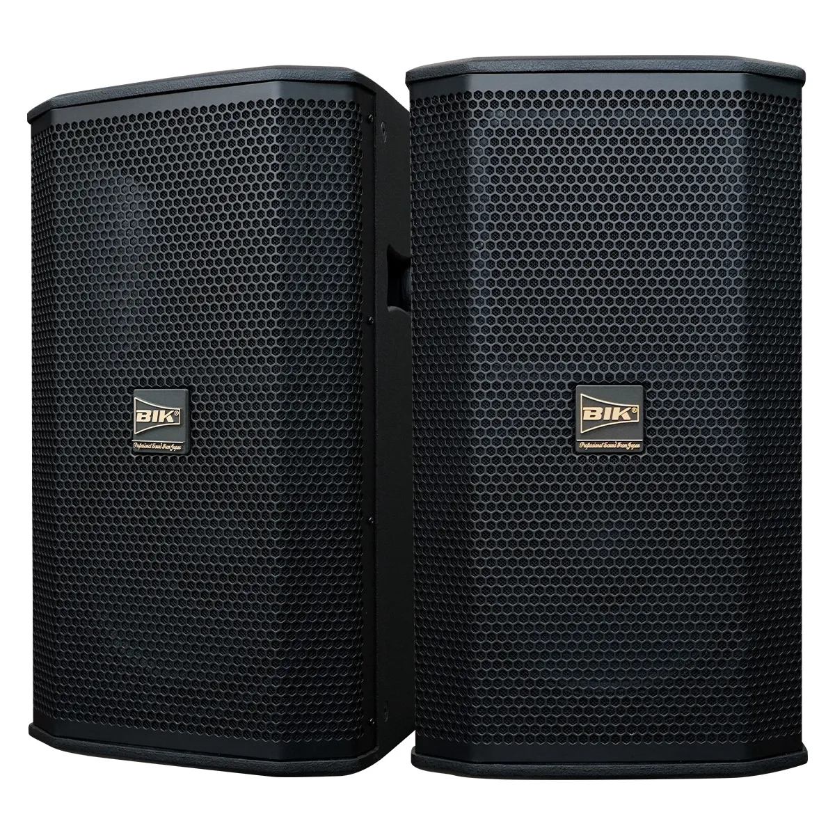 Loa karaoke Nhật BIK BSP 410II