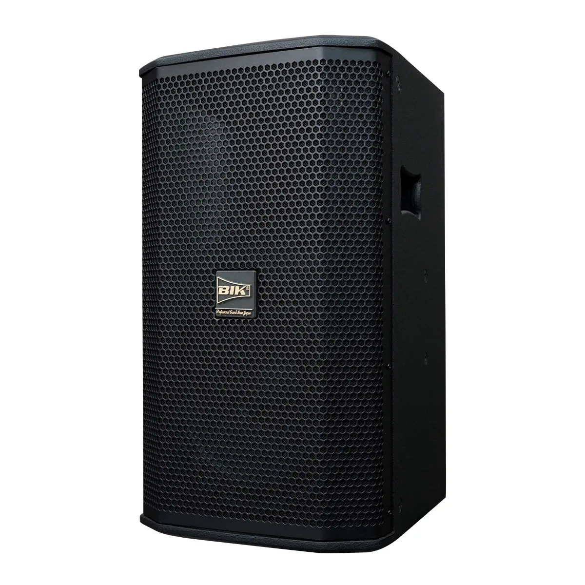 Loa karaoke Nhật BIK BSP 410II