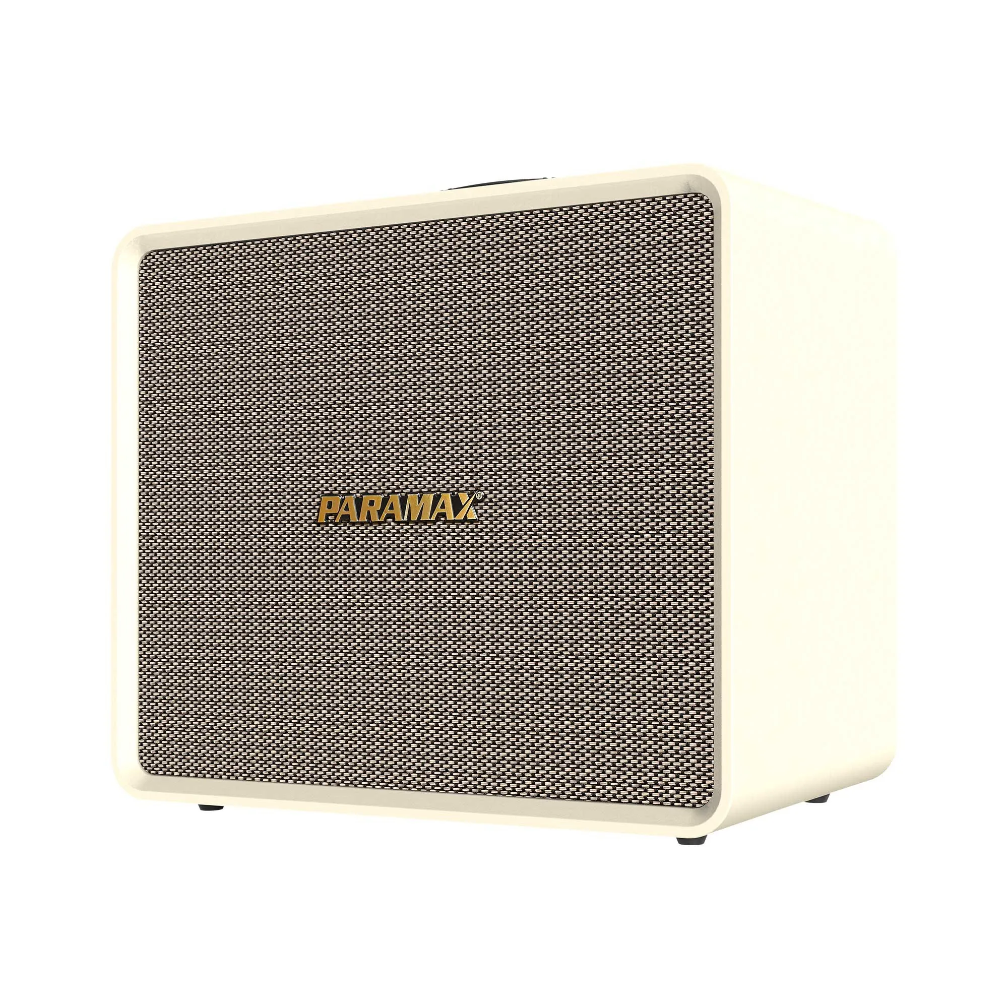 Loa Paramax Advance (Bass 25cm, 200W, Kèm 2 Micro) - Hình 2
