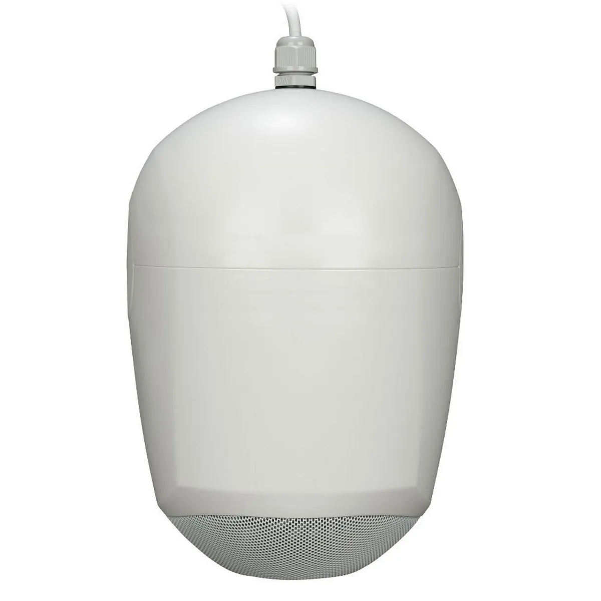Loa thả trần RCF BS 5EN