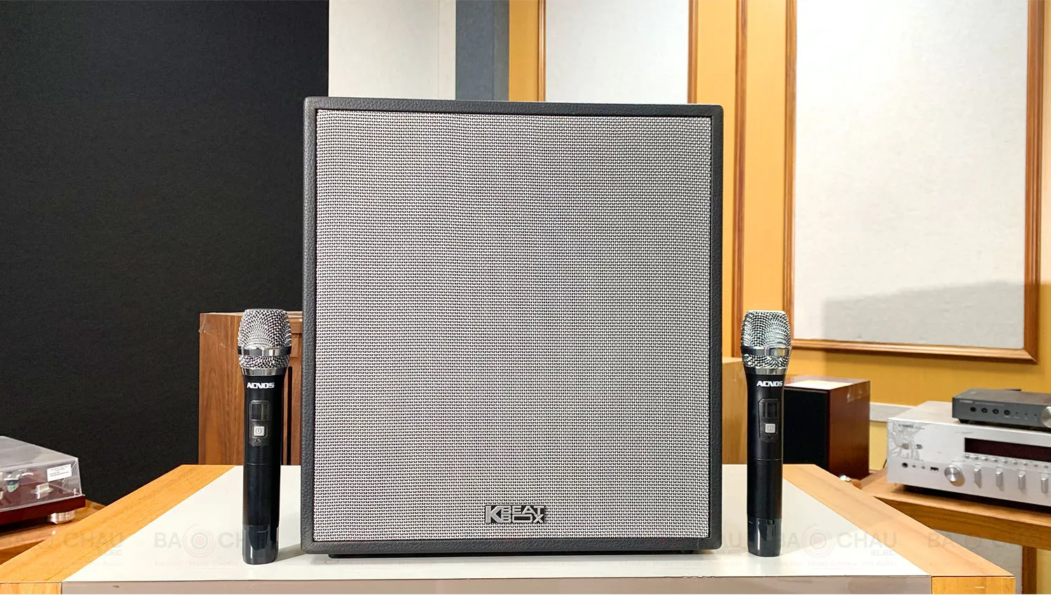 Loa xách tay ACNOS CS300