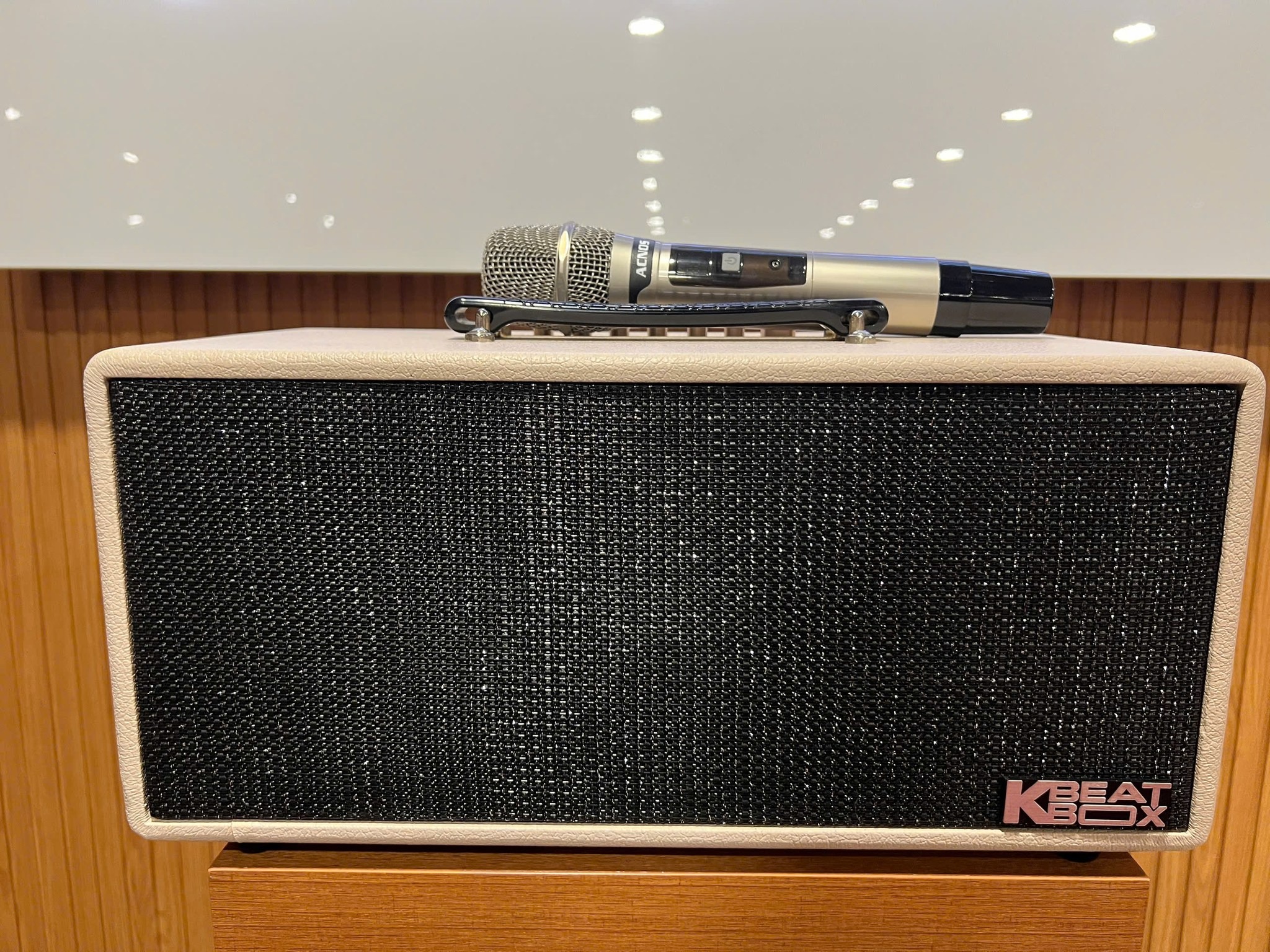 Loa karaoke x&aacute;ch tay Acnos KS363H