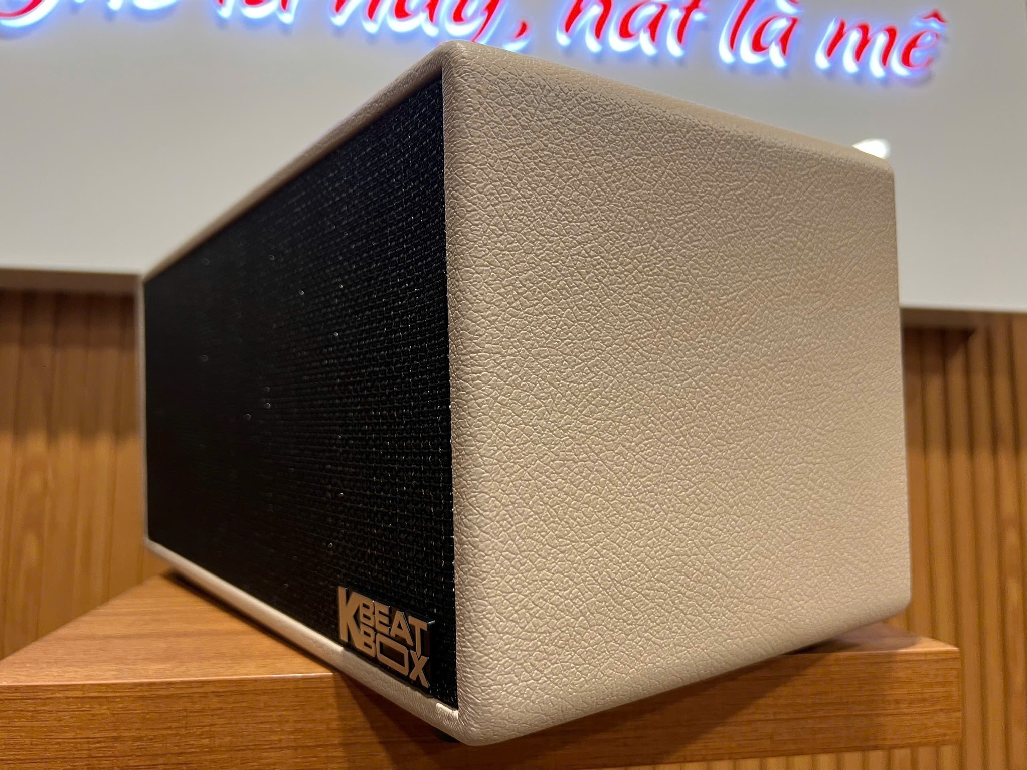 Loa karaoke x&aacute;ch tay Acnos KS363H