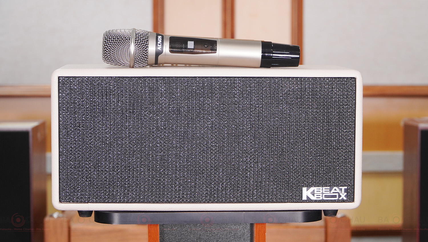 Loa xách tay Acnos KS363H