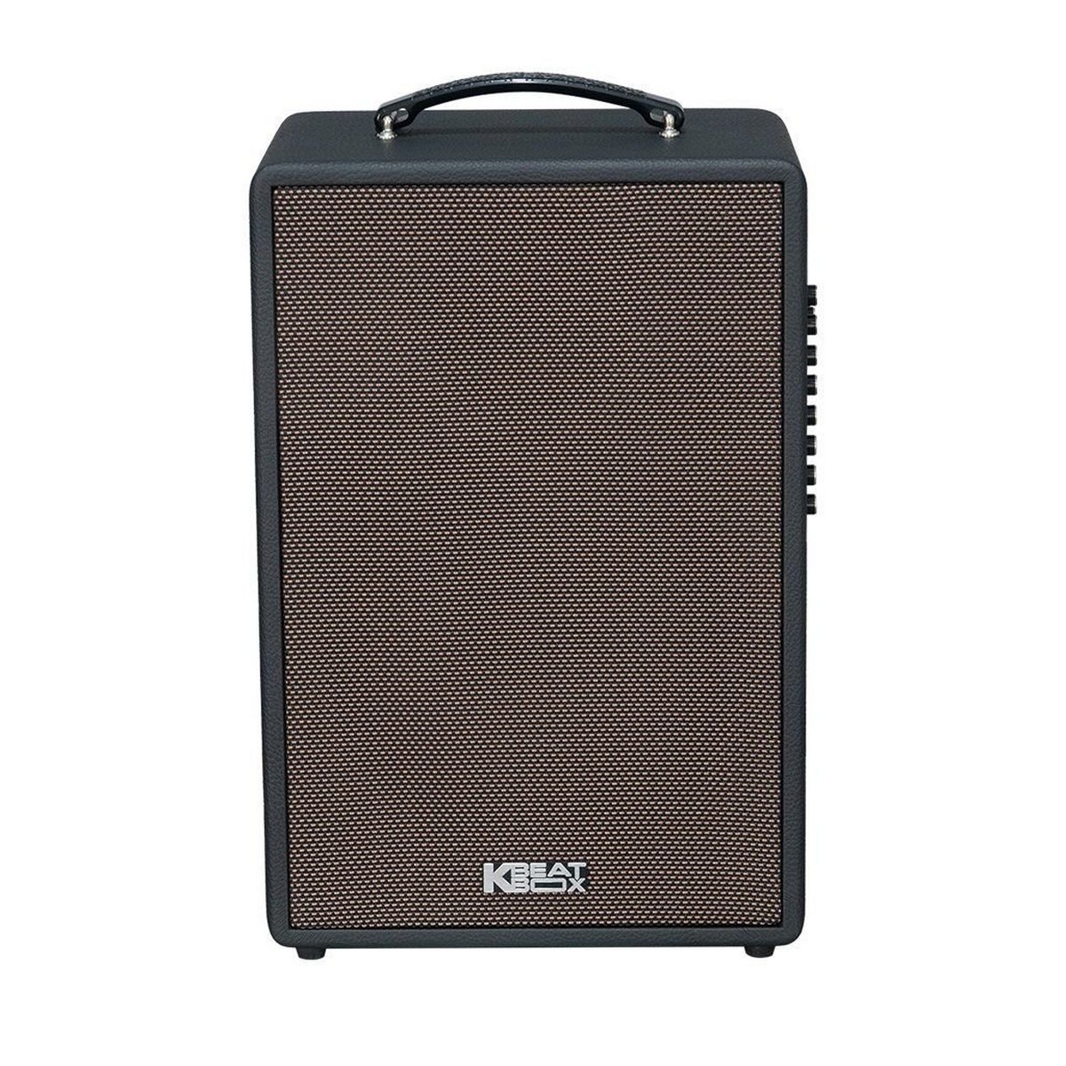 Loa xách tay Acnos Symphony (Bass 25cm, Bluetooth 5.0, Kèm 2 Micro) - Hình 2