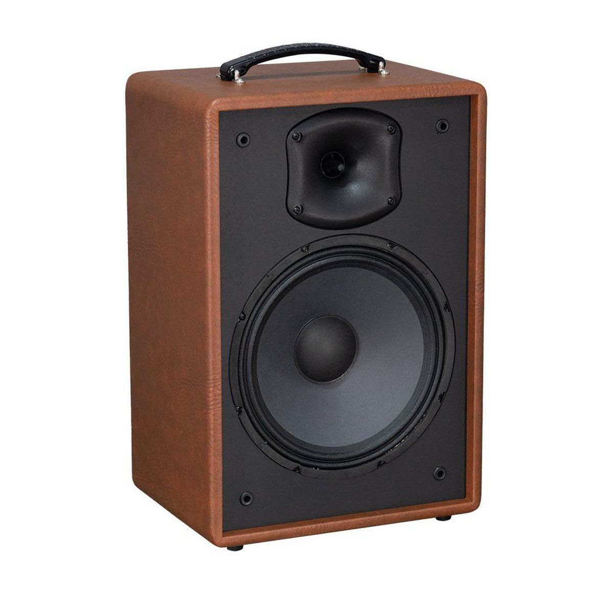 Loa xách tay Acnos Symphony (Bass 25cm, Bluetooth 5.0, Kèm 2 Micro) - Hình 1