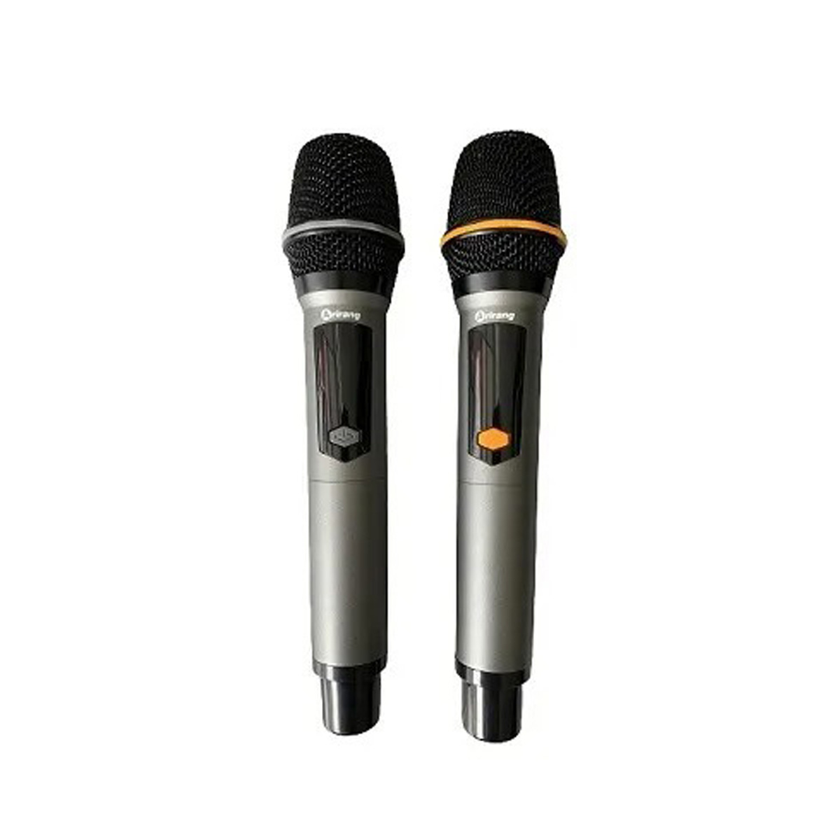 Loa xách tay Arirang AM1