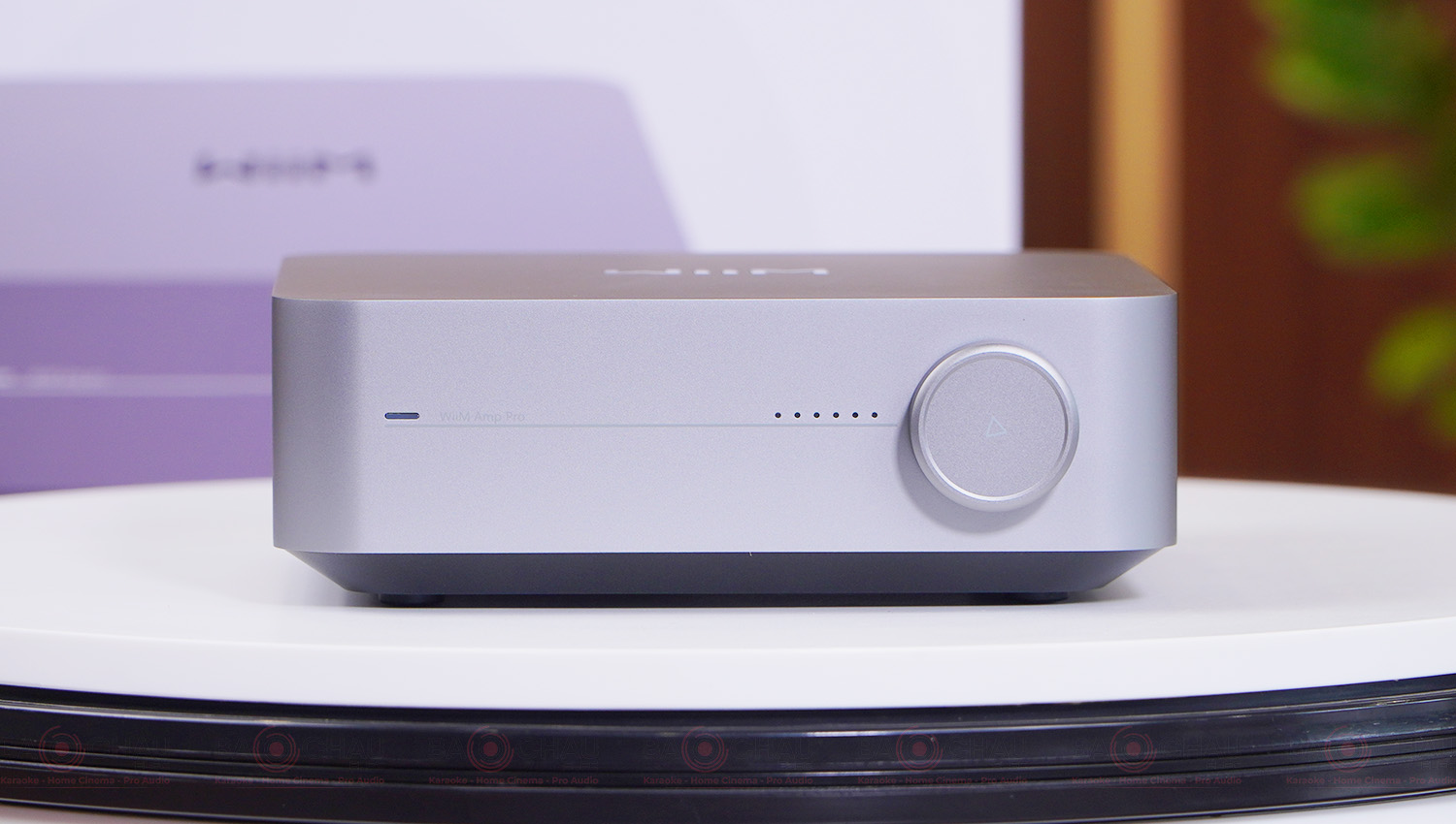 Music Streaming Amplifier WiiM Amp