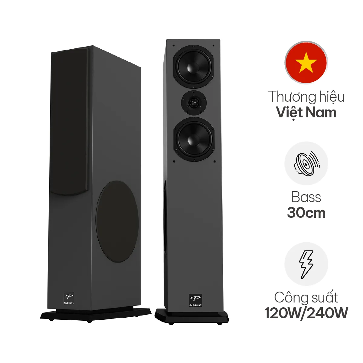 Loa Paramax D88 Luxury