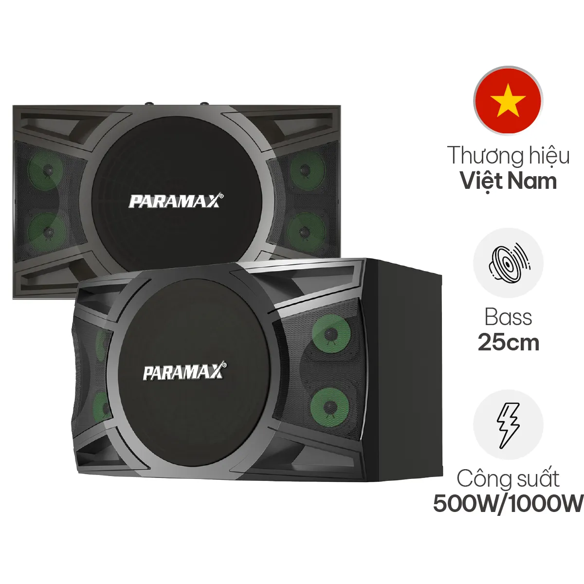 Loa Karaoke Paramax P1000 New (Bass 25cm)